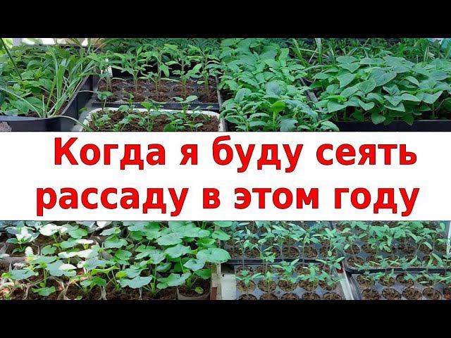 Когда я буду сеять рассаду в этом году. Приблизительные даты смотреть онлайн