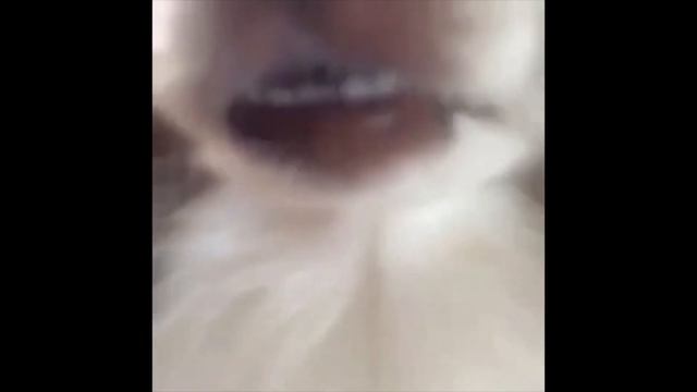 dog saying woof смотреть онлайн