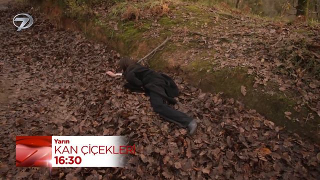 Kan Çiçekleri 251. Bölüm Fragmanı - 13 Şubat Salı смотреть онлайн