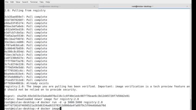Run private Docker Registry localy смотреть онлайн