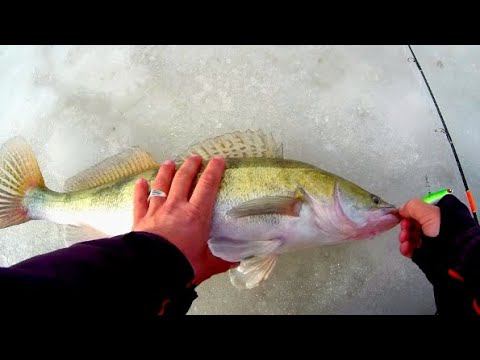 СУДАК ЖРËТ БАТОН! ЗАКРЫТИЕ ЗИМНЕГО СЕЗОНА ПО СУДАКУ) РЫБАЛКА НА СУДАКА! смотреть онлайн