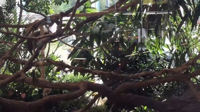 Турагентство Coral travel. ТЦ Грант. Travel agency Coral travel. TC Grant. смотреть онлайн