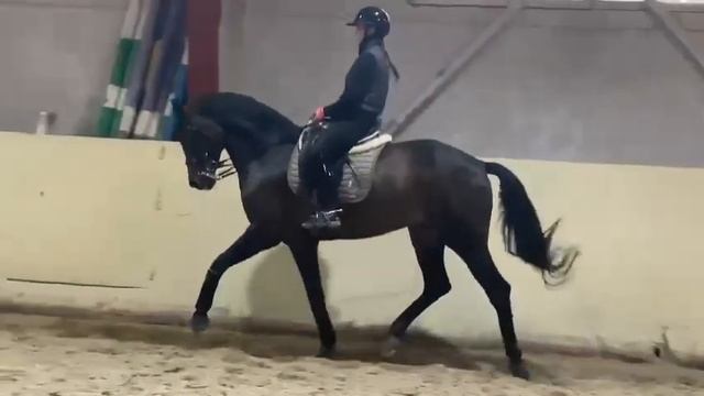 Лио Ибица смотреть онлайн
