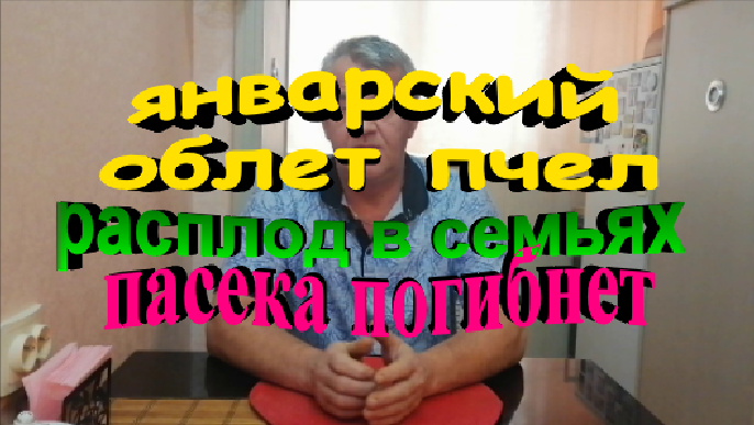 Январский облет пчел.Расплод в семьях. Пасека погибнет смотреть онлайн