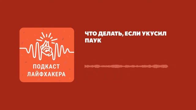 Котики в Смешных Ситуациях