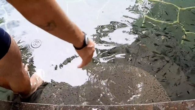 РЕЛАКС НА ТЕРМАЛЬНЫХ ИСТОЧНИКАХ ??⛲//ОТДЫХ В КИТАЕ ?? смотреть онлайн