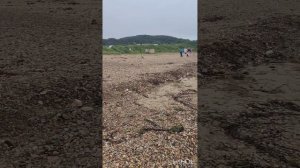 Отдых во Владивостоке август 2023