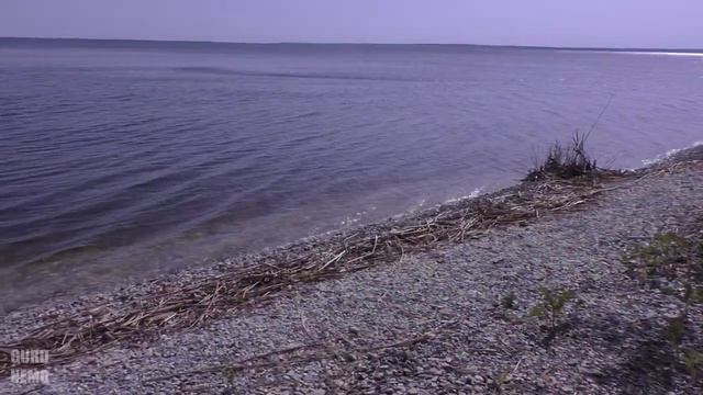 Саратовская земля, цветущая степь, Волжские утёсы и прочие достопримечательности. Часть 2. смотреть онлайн