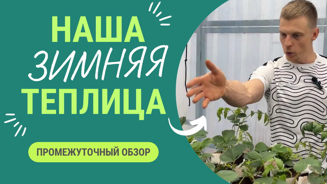 Наша зимняя теплица. Промежуточный обзор смотреть онлайн