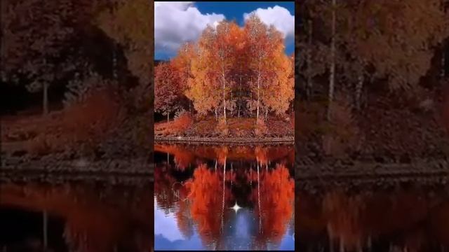 Роман Осени и Лета ... Стихи . смотреть онлайн