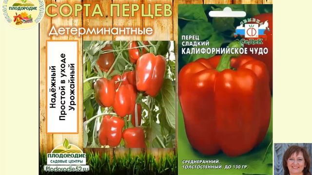 Перцы. Обзор сортов по видам, формам, цвету, вкусу, срокам созревания, высокорослости, надёжности. смотреть онлайн