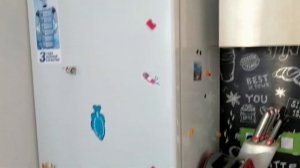 Как выбрать встраиваемый холодильник