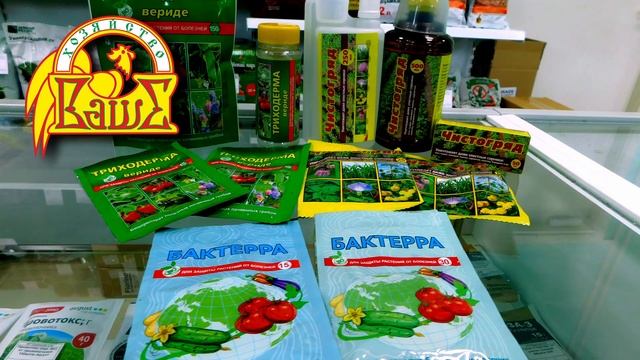 Открытие магазина 