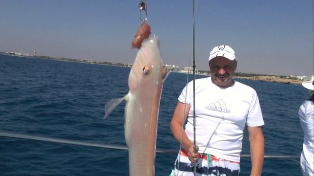 Поздравление Папе с ЮБИЛЕЕМ! 55 лет смотреть онлайн