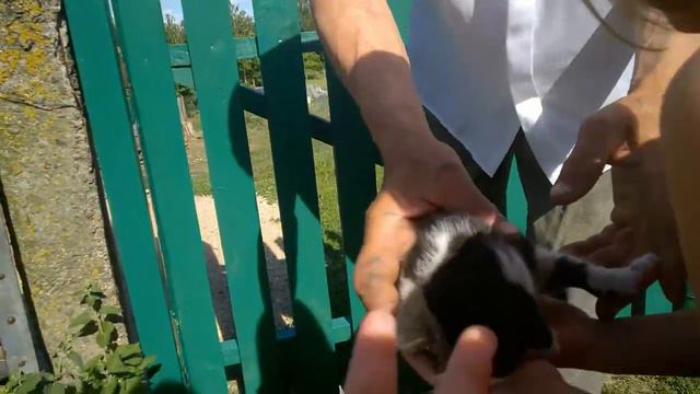 Ася в деревне у дедушки смотреть онлайн