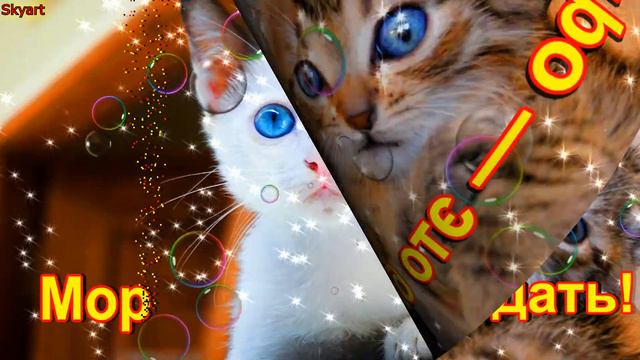 Прикольное Видео с Добрым Утром! Новинка! Прекрасное Видео Поздравление! СУПЕР ПОЗДРАВЛЕНИЕ! смотреть онлайн