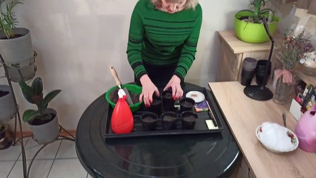 Как сеять обриету смотреть онлайн