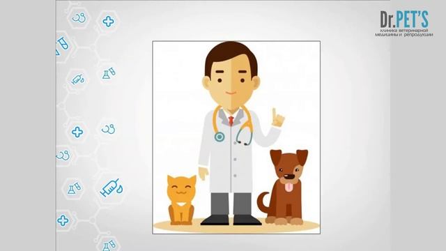 Зачем нужна анестезиологическая служба? смотреть онлайн
