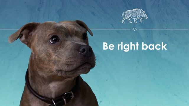 Let's Play Untitled Goose Game - Honk it like it's hot смотреть онлайн