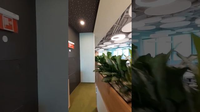 Хар доимгидек узимиз амалга оширган ишларимиз. смотреть онлайн