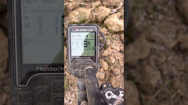 Nokta Legend сошла с ума