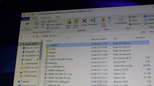 Como Instalar o CDNSP GUI - Bobv4.1.1 no Computador para Baixar Jogos nsp Nintendo Switch смотреть онлайн