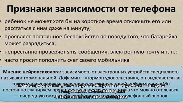 Когда собирать зверобой и как правильно заготавливать смотреть онлайн