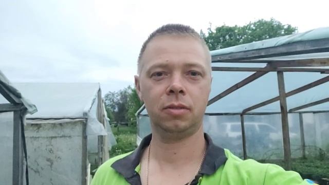 Собираю урожай зеленушки. Гигантский салат. смотреть онлайн