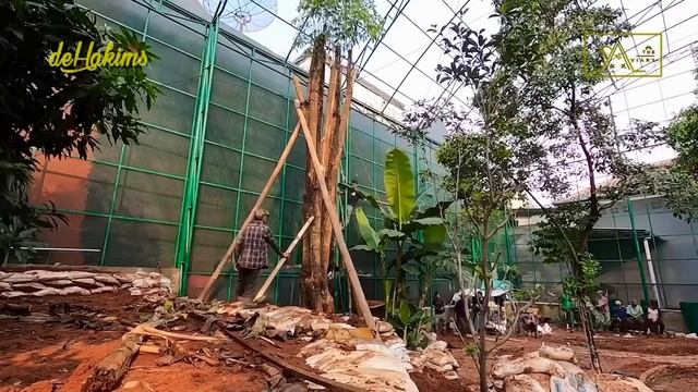 Building The Aviary for Endangered and Exotic Birds - 1st Eps смотреть онлайн