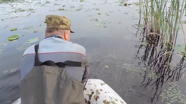 Рыбалка.Змееголов.Поставки с наживкой.Подготовка.Ч 2 смотреть онлайн