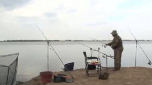 Ловля карпа на Нижней Волге часть 1