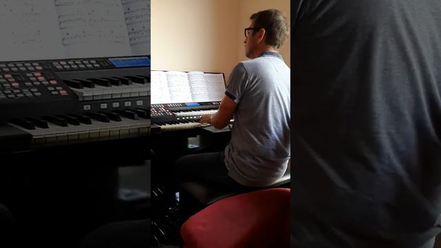 "Mandy" (Barry Manilow Cover) Orla Ringway RS 600 Organ смотреть онлайн