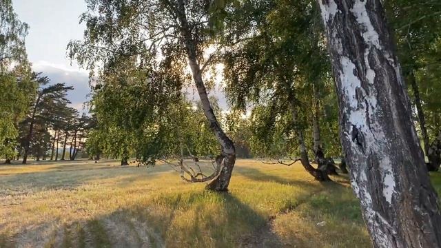 Рыбалка и отдых на озере Жукей. Поселок Жукей. Зона отдыха Nomad Eco Tour 2023 смотреть онлайн