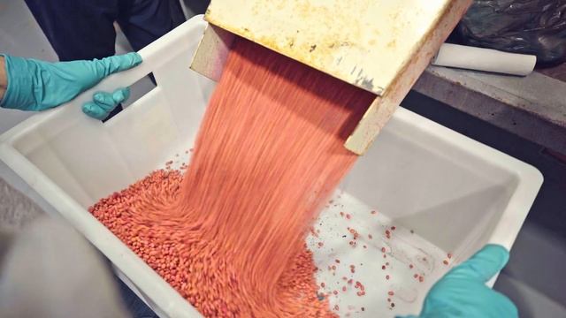 Предпосевная обработка семян | Выбор протравителя смотреть онлайн