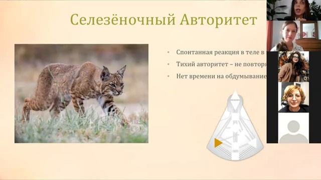 Обзор Авторитетов. Юлия Алейникова и Ирина Ипаткина смотреть онлайн