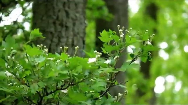 Жуткий вопрос.Страшные. Мистические. Творческие рассказы. смотреть онлайн