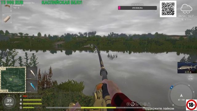 Русская Рыбалка 4// Russian Fishing 4// Трофей осетра русского 79кг. Точка 84.108 клипса 20. смотреть онлайн
