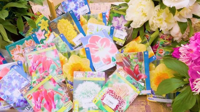 Встречайте — сезон луковичных цветов в Беккер открыт!✌