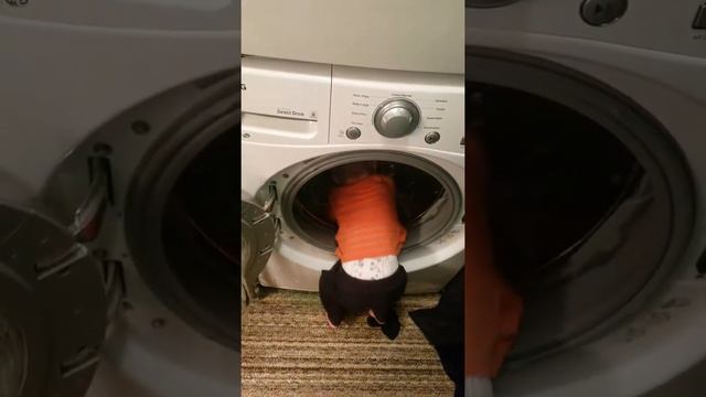 Making my 19 month old do his laundry смотреть онлайн