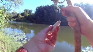 Ловля подлещика на пробку и кормушку. Рыбалка в августе 2017