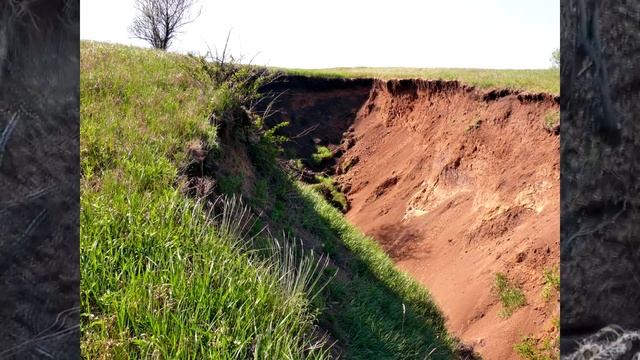 Овраги-враги? смотреть онлайн