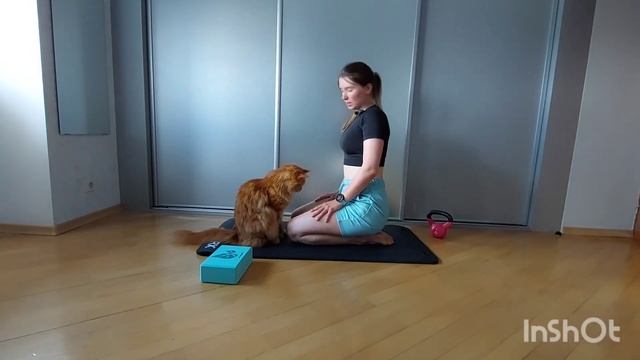 универсальная разминка смотреть онлайн