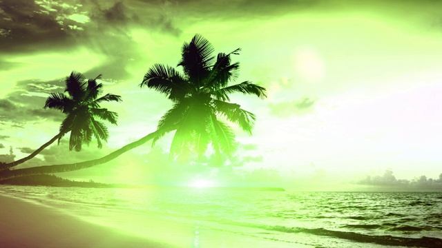 L87 - The Wonder Of The World