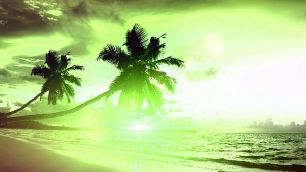 L87 - The wonder of the world