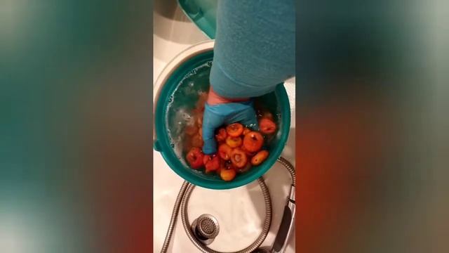 Распаковка. Шоубокс. Гладиолусы сорта 