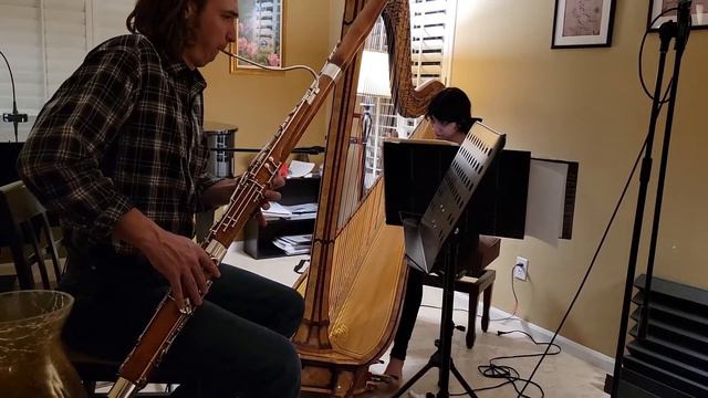 J.S. Bach: Sonata in E flat BWV 1031, Siciliano. Harp and Bassoon смотреть онлайн