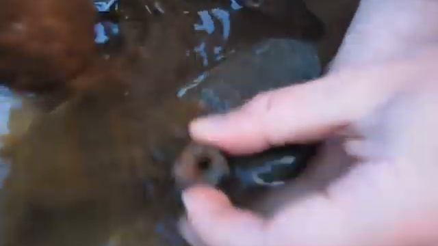 Изготовление камней / Manufacture of stones смотреть онлайн