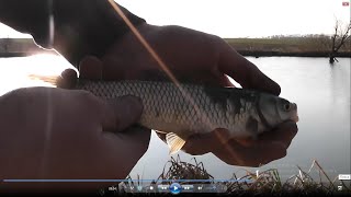 ВЕСЕННЯЯ РЫБАЛКА в МАРТЕ ПОПЛАВОЧНАЯ СНАСТЬ на частном ПРУДУ Манафов Вячеслав КУБАНЬ. Живите в Кайф! смотреть онлайн