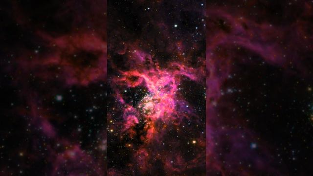 The Tarantula Nebula смотреть онлайн