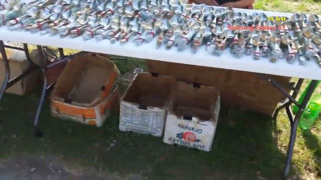 2016 г. Сочи /Головинка/. Прогулка к тюльпановому дереву. Часть 4. смотреть онлайн